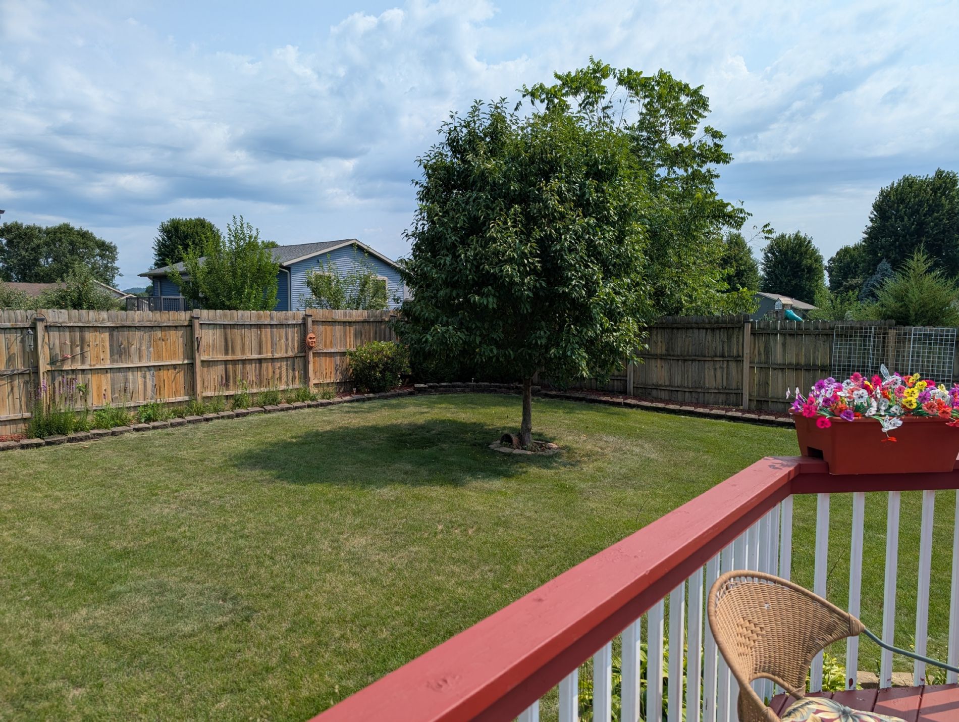 Fenced Backyard